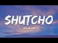 Doja Cat - Shutcho (Lyrics)