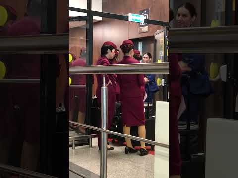 Qatar Airways Cabin