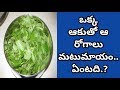 Health Benefits of Gongura Leaf | Health Tips In Telugu | Manandari Health