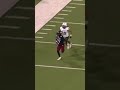 Trey Hedden with an 83-yard touchdown pass to Terrione Graves vs. Mercyhurst Lakers