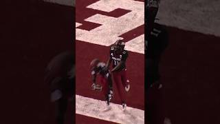 Trey Hedden with an 83-yard touchdown pass to Terrione Graves vs. Mercyhurst Lakers