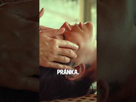 Apresentação prática do curso de Massagem Somática