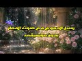 أنشودة سبيل الدموع مع صوت مطر بدون موسيقى