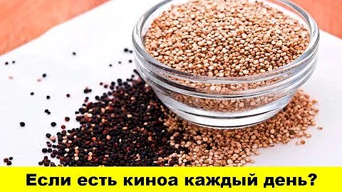 Что будет, если есть киноа каждый день, или как приготовить идеальное киноа?