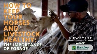 How to Keep Your Horses and Livestock Healthy: The Importance of Forage