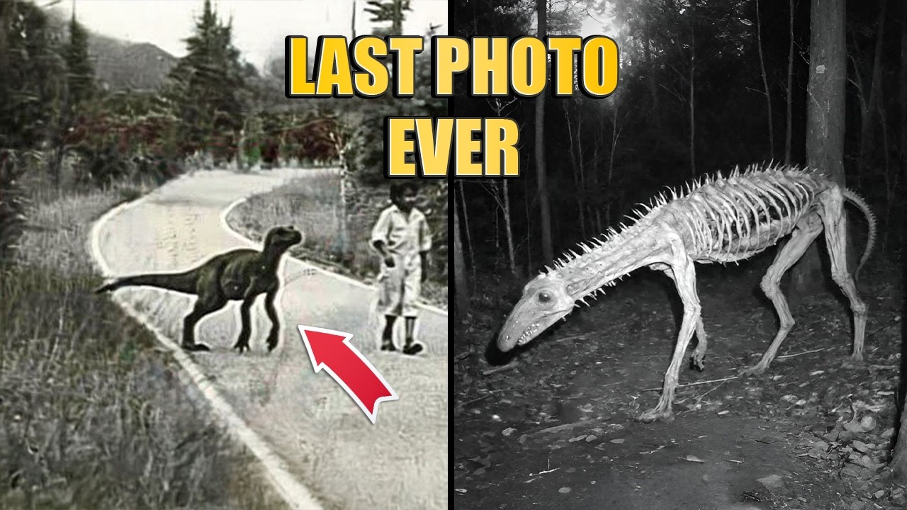 7 Last Photos of Extinct Animals Ever Taken | part 2
