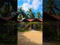 Cocoon B&amp;B: Best Long-Term Stay for guest in Neil Island #kitchen #facilities #homestay #reel #viral