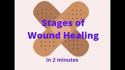 Stages of Wound Healing in 2 mins!