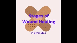 Stages of Wound Healing in 2 mins! screenshot 1