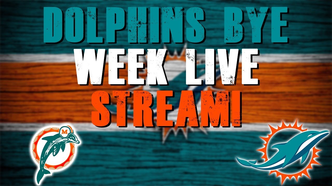 Miami Dolphins Bye Week Live Stream! YouTube