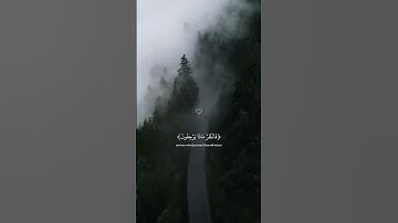 تلاوة هادئة للقران االكريم #قرآن #قران_كريم #اكسبلور #quran #لايك #اكتب_شي_تؤجر_عليه #اكسبلور
