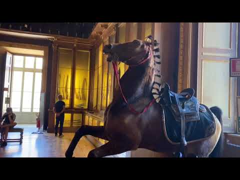 Экскурсия в Королевский дворец в Турине