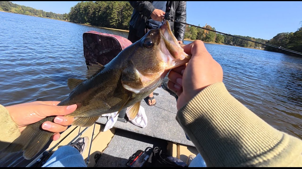 Bass Fishing In The Fall