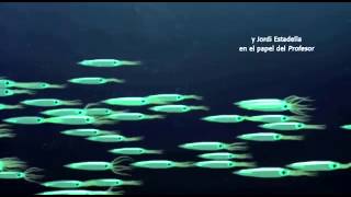 (Spanish) HIAF -Ocean love -opening title-