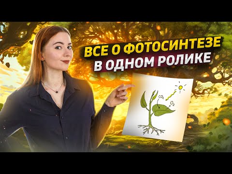 Фотосинтез: вся тема просто и понятно | Биология ЕГЭ