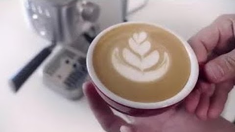 SOLIS Barista Perfetta Plus EN | Now available on Somethingsbrewing.in