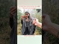 Jungle main bhi romance chal raha h😂 #triggeredinsaan #youtubeshorts #shorts
