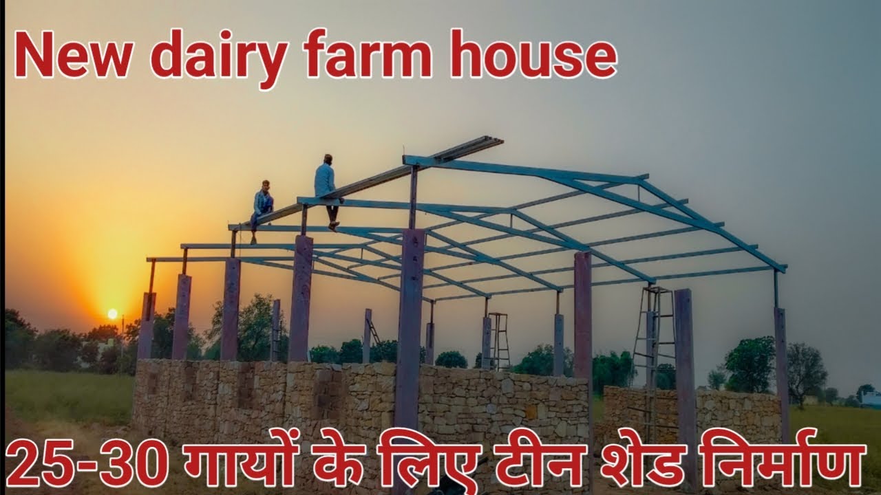 My new dairy farm house business टीन शेड निर्माण कार्य चल रहा 