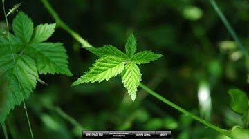 Customize windows 7 login screen  with ease...