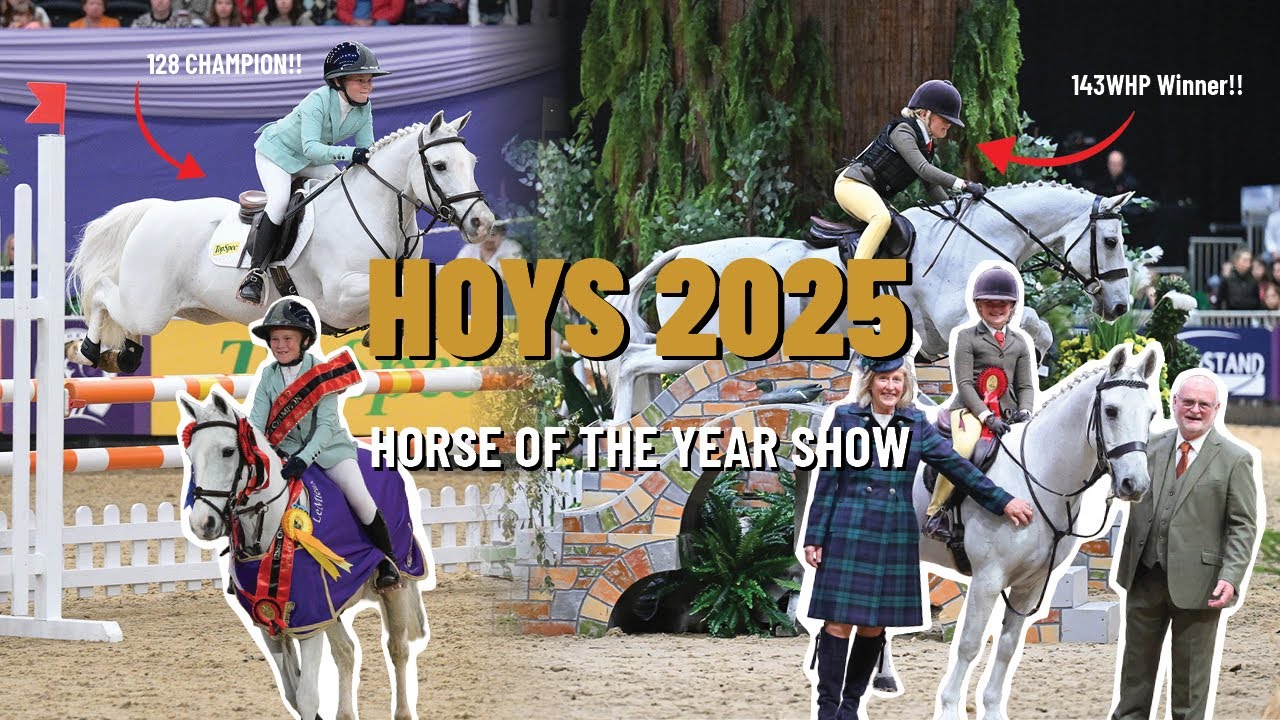 ДВОЙНАЯ ПОБЕДА HOYS 🏆🏆😭 ЛУЧШЕЕ ШОУ ВСЕХ ВРЕМЕН 🤩❤️