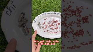 gioăng thay van nạp 1 chiều chân ren 8mm, gioăng sửa chữa van bơm hơi chân ren 8mm, gioăng lắp van