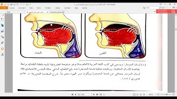 دورة شرح التجويد لمستوى  التمهيدية  المخارج أقصى اللسان