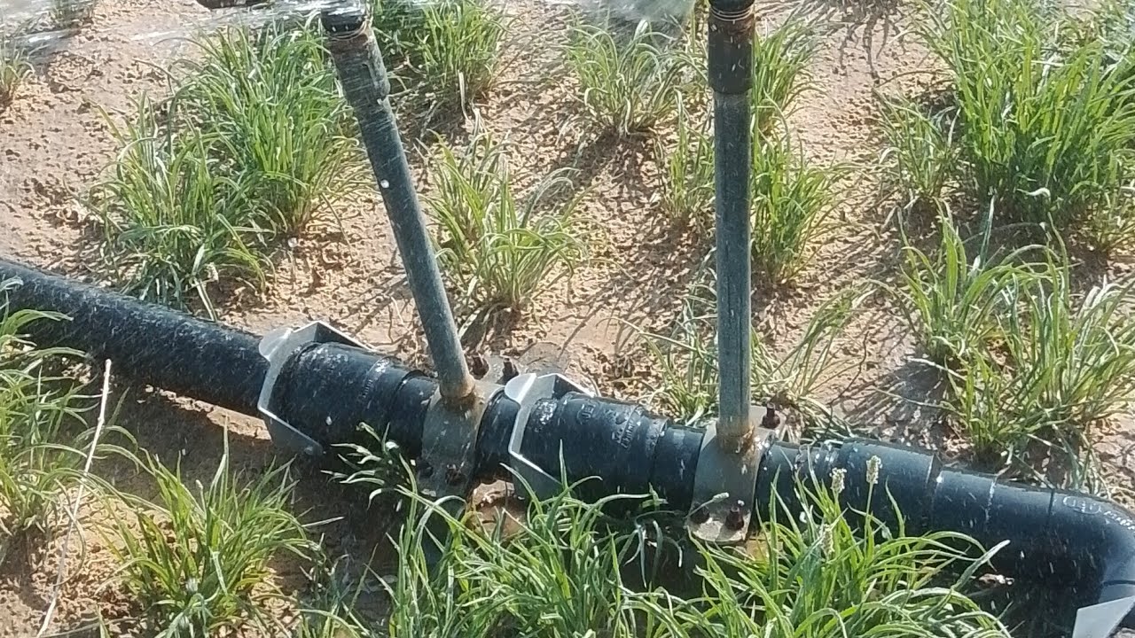 हमारे खेतों में 🌱काम करने वाले लोग ही बहुत बढ़िया 🎉 मेहनत करते रहते हैं 🙏🙏