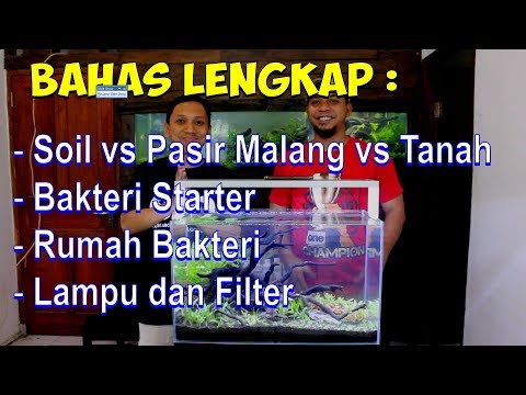 Video: Apa yang harus ditanyakan dengan subsurat?