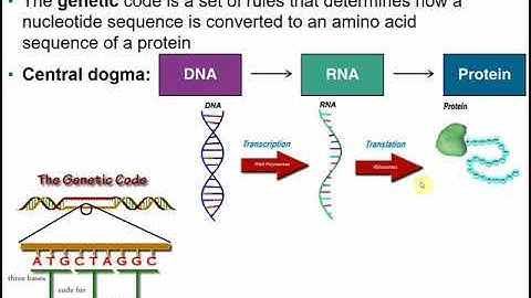 2117 Chapter 8 Part A - Microbial Genetics