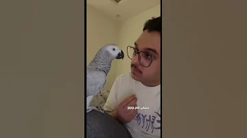 سعيد بن تركي أذكى ببغاء 
