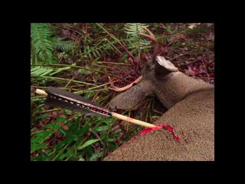 Primitive Archery Hunting for Deer. Otzi Arrow, Ishi Arrow, primitive bow hunt