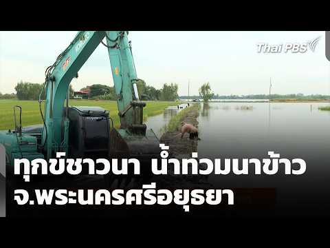 Farmers' Plight: Rice Fields Flooded in Phra Nakhon Si Ayutthaya | Complaint Station | Oct 14, 2026