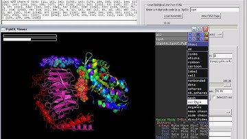Viewing the Evolutionary Trace of biological assemblies with PyMOL and the PyETV plugin