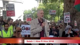 FREE FREE PALESTINE, PROTEST OUTSIDE DOWNING STREET LONDON 23 08 2014