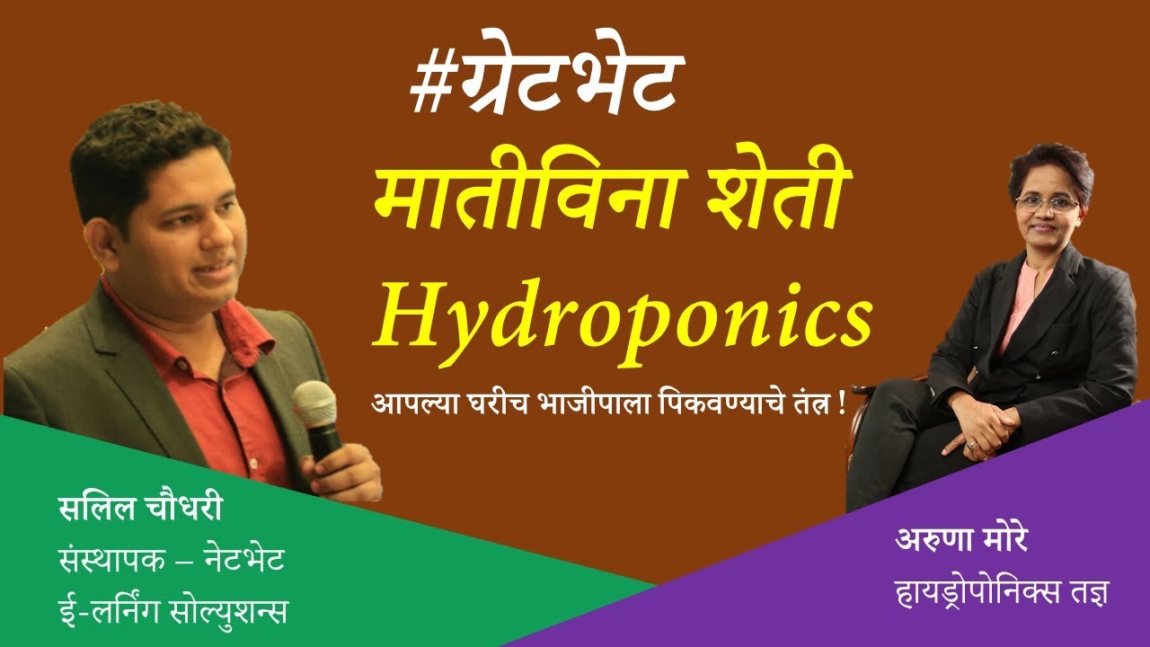 मातीविना शेती Hydroponics system for Beginners in Marathi Hydroponics farming examples YouTube