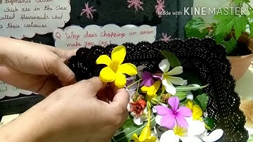 Std. IV English Lesson 4. Your Own Book of Science. Part II. Maharashtra State Board English Medium.