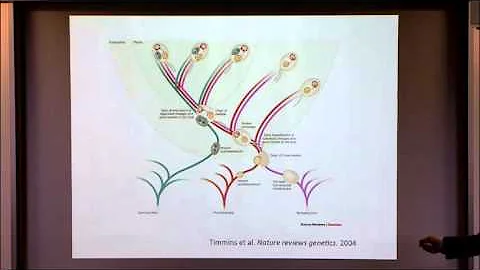 Evolution of Complexity