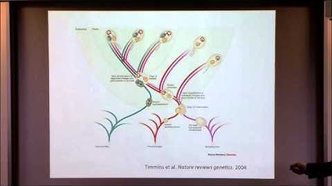 Evolution of Complexity
