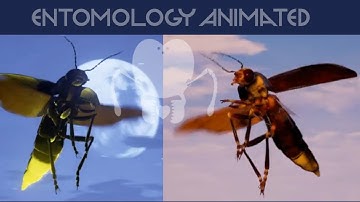 Firefly Video Game Proof of Concept Demo