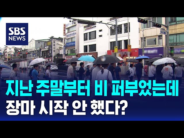 지난 주말부터 비 퍼부었는데..장마 시작 안 했다? / SBS