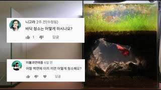 지하동굴 어항 6개월