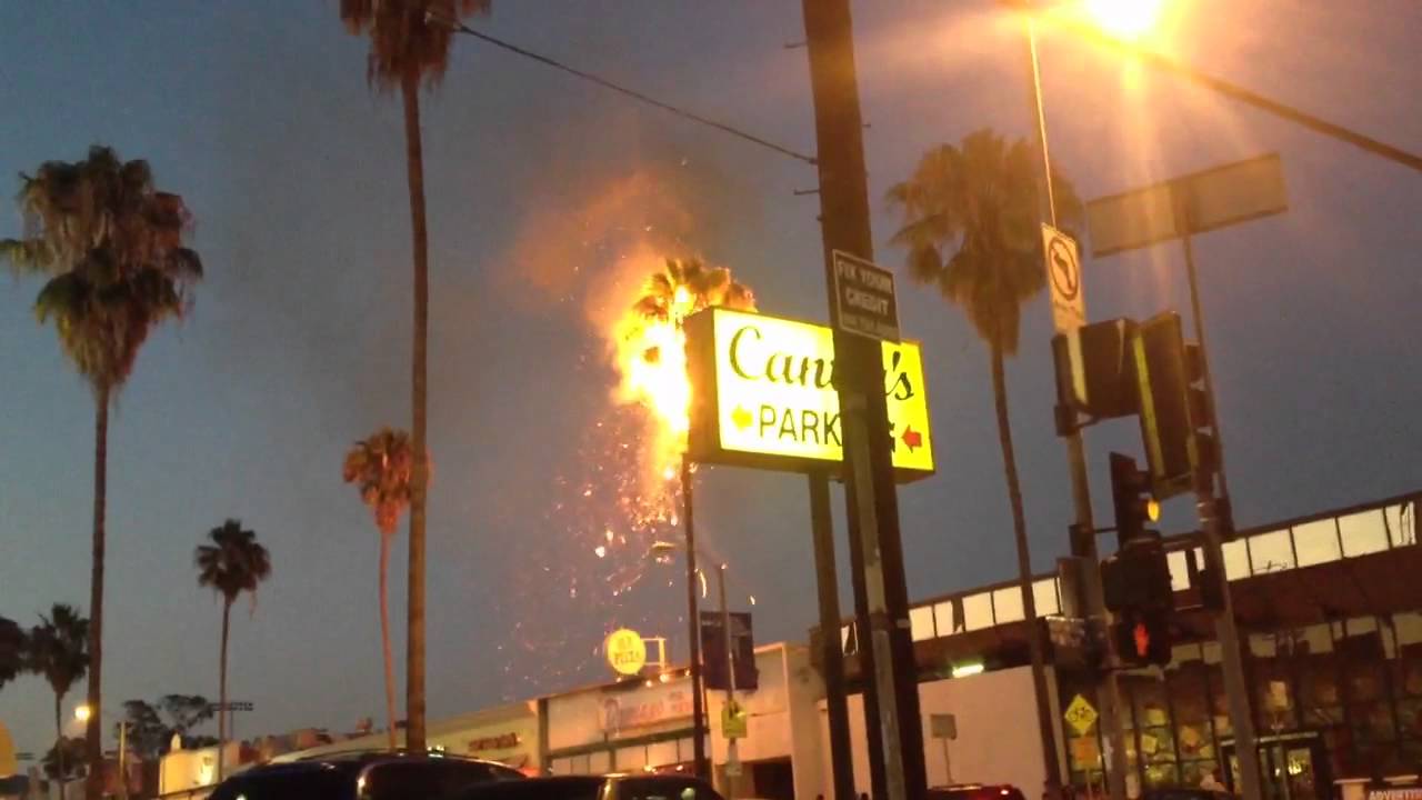 Odd Future Fans Cause Controversy On Fairfax Set Tree On Fire