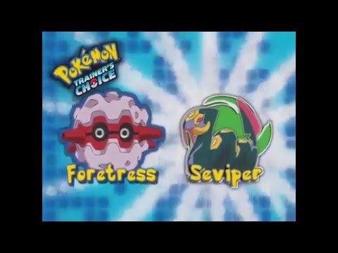 Pokemon What - Pokemon What