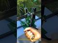 Bandsaw Sharpening Trick