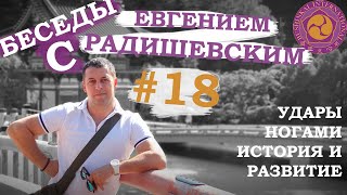 видео: Беседы с Евгением Радишевским. #18 Удары ногами: История и Развитие картинка: Беседы с Евгением Радишевским. #18 Удары ногами: История и Развитие