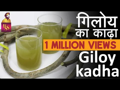 Giloy ka kadha | गिलोय काढ़ा कैसे बनाएं | Master herb | Chef Harpal Singh With Dhanashree