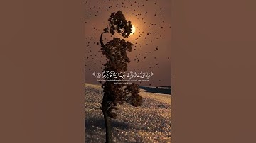 قرآن كريم بصوت جميل | محمد اللحيدان #قران_كريم #اكسبلور #راحة_نفسية #quran