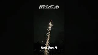 Funke Gigant F3 Vs Zink 901 Vs Zink 902 🤯🧨 #fireworks #berlin #pyro #polenböller #funkefireworks