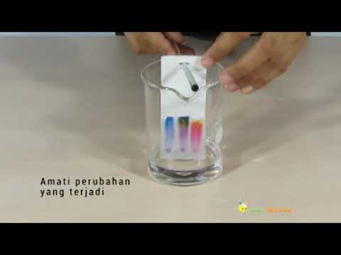 Video: Apakah bahan yang diperlukan untuk kromatografi kertas?