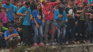 Pallapa Jombang 29 10 2017